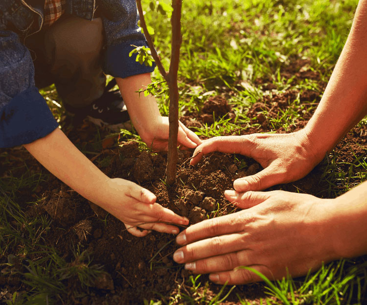 ESG Focused Mutual Funds
